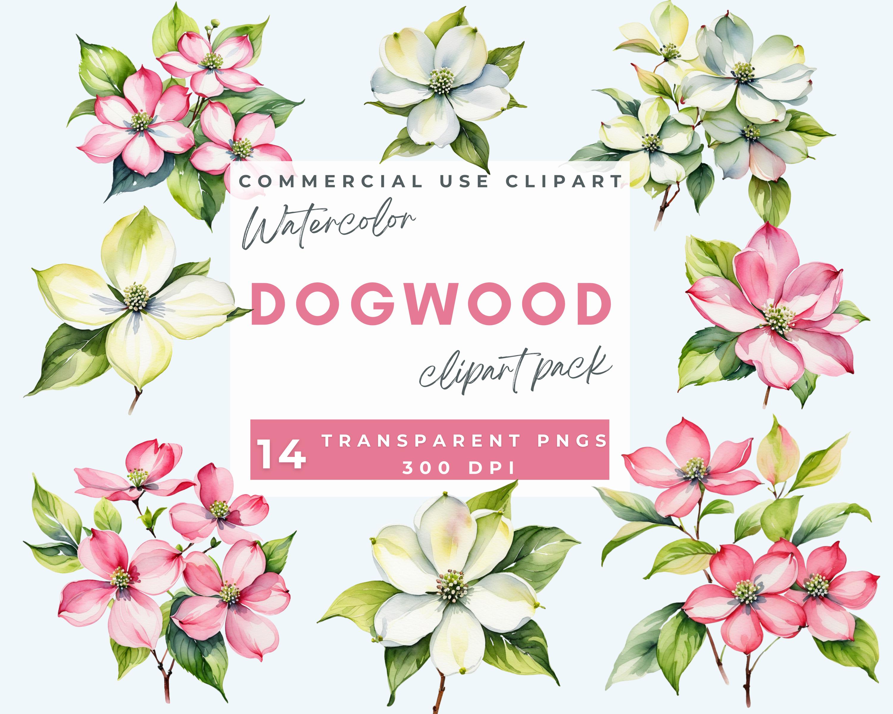 Pink dogwood tree - Etsy België, image size:3000x2400