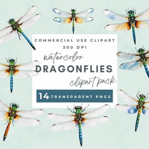 Watercolor Dragonfly Clipart, Dragonflies Clipart, painted dragonfly clipart, insect illustrations, PNG graphics, scrapbook, commercial use