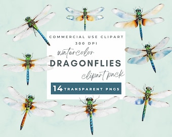 Watercolor Dragonfly Clipart, Dragonflies Clipart, painted dragonfly clipart, insect illustrations, PNG graphics, scrapbook, commercial use
