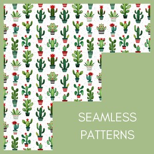 Christmas Cactus Seamless Patterns Digital Paper JPG, Watercolor ...