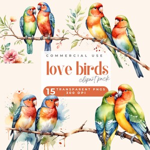 Valentijn dwergpapegaaien clipart, aquarel tortelduifjes clipart PNG, Valentijn vogels illustraties, schattige papegaaien PNG, afdrukbare digitale afbeelding