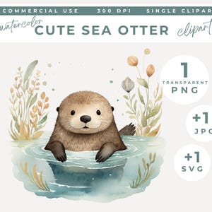 Otter clipart PNG, Otter Watercolor Clipart, Cute Baby Shower Graphics, Nursery Decor Wall Art, Sea Animal Commercial Use Instant Download