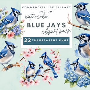 May include: Watercolor clipart pack of blue jays with flowers. 22 transparent PNGs. Commercial use clipart. 300 DPI.