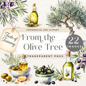 May include: A watercolor illustration set of 22 images featuring olive branches, olive oil bottles, olives, and a small olive tree. The text "From the Olive Tree" is featured in the center of the image. The text "Taste of Tuscany" is featured in the top left corner of the image. The text "22 Images" is featured in the top right corner of the image. The text "Transparent PNGs" is featured in the bottom center of the image.