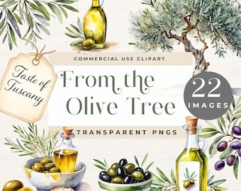 From the Olive Tree, Olive Branch Clipart, Watercolor Olive Oil Clip Art PNGs, Rustic Mediterranean Food Art, Bread & Dipping Bowl Graphics