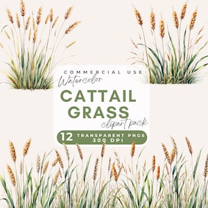 Clipart Cattail Grass Clipart Neutral Watercolor Grass, Wild Grass Png, Bulrush Reeds Clipart, Botanical Elements for Invitations, wedding