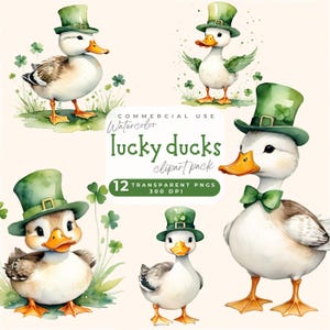 Lucky duck Clipart PNG, St Patrick's Day Watercolor Clip Art, Irish Images, Lucky Holiday Graphics, Digital Download, Commercial use