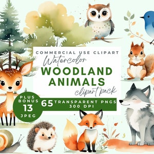 woodland animals watercolor clipart forest animals clipart cute woodland animals nursery decor woodland baby shower clipart bear fox owl