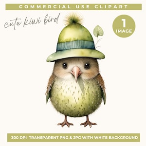 Cute Watercolor Kiwi Bird Clipart, Green Hat Kiwi PNG and JPG Adorable Animal Art for Scrapbooking & DIY Projects, card making, junk journal