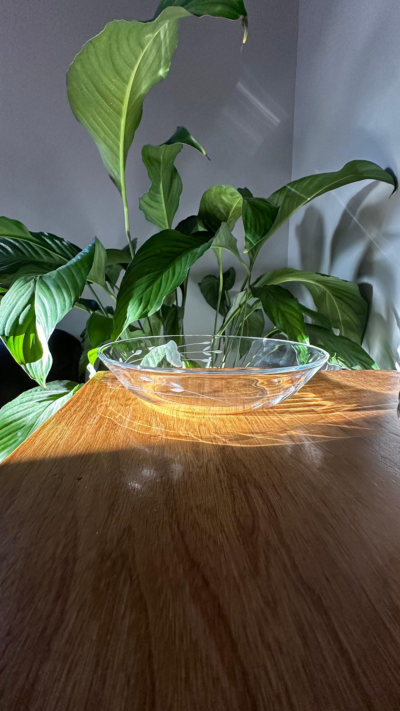 Princess House Pasta Bowls 59