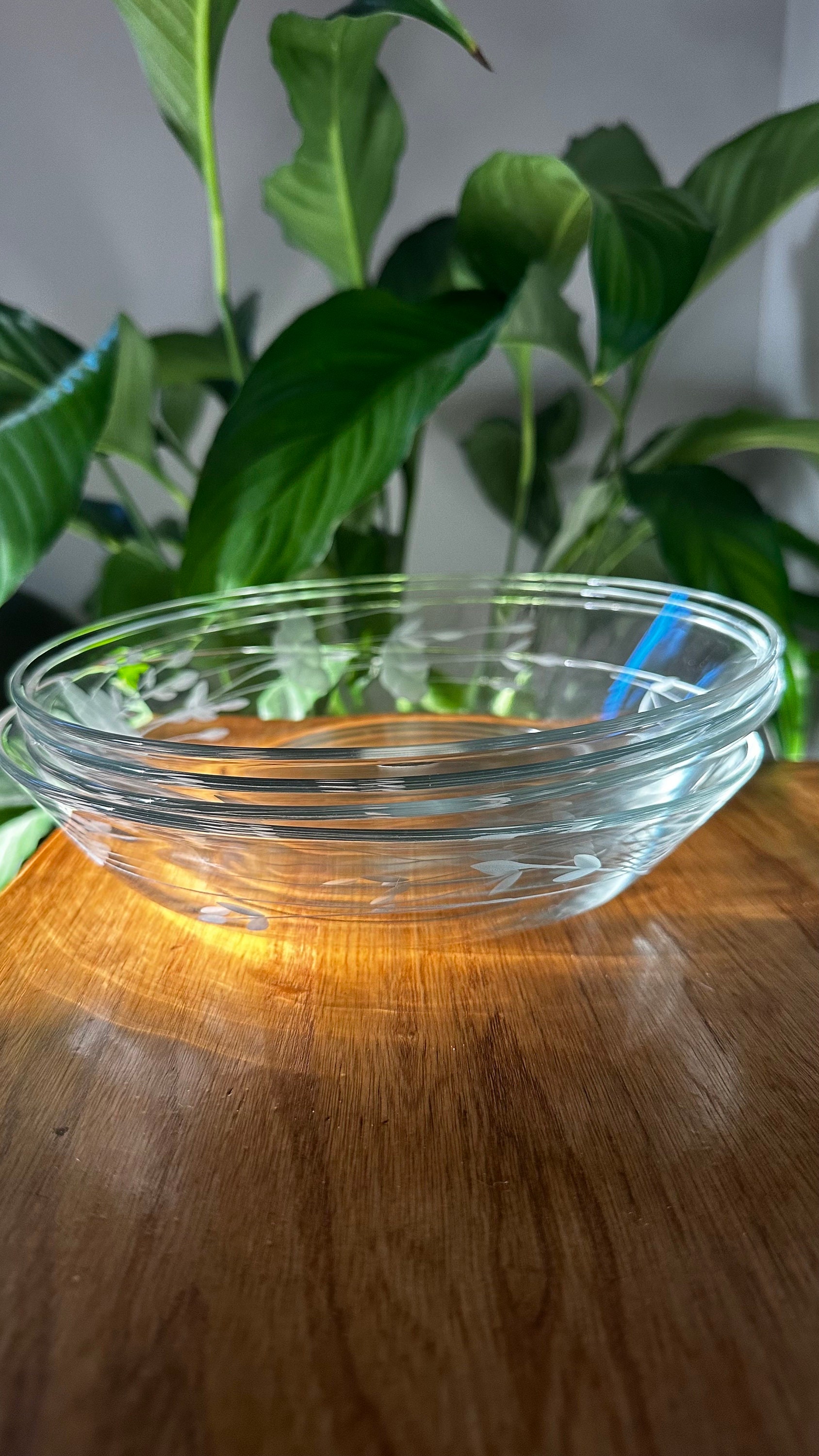 Princess House Pasta Bowls 59