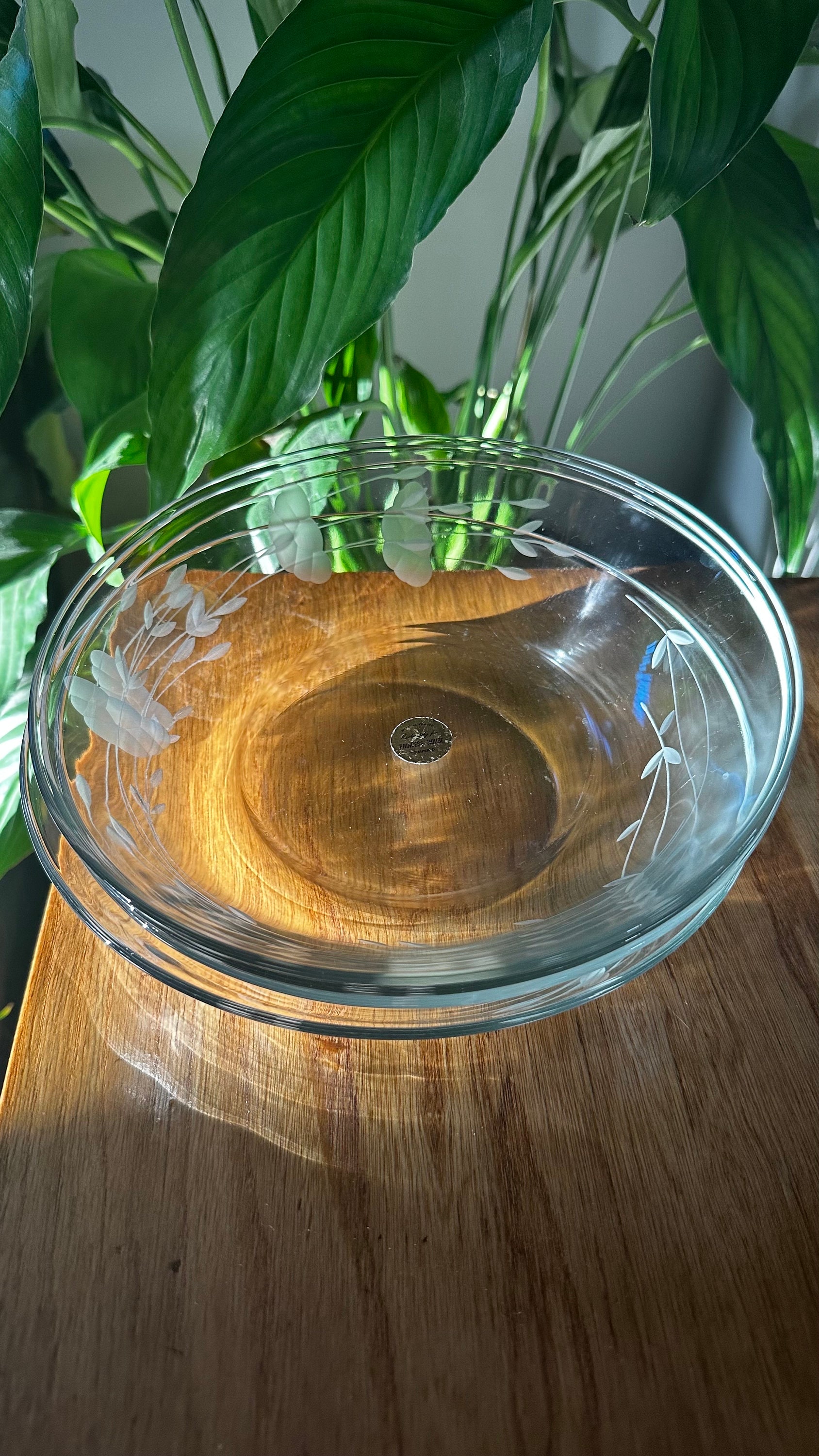 Princess House Pasta Bowls 59