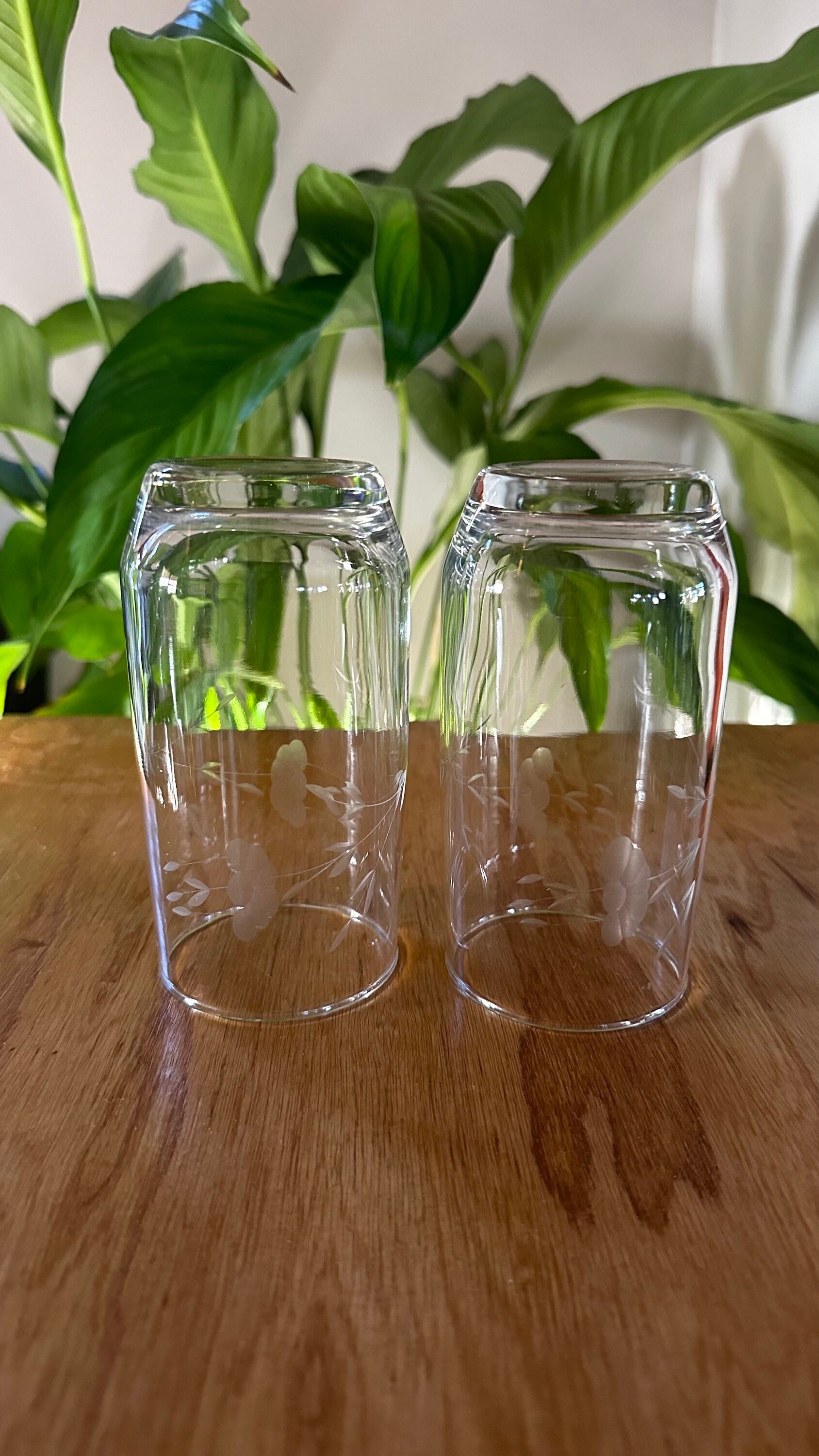 Vintage Princess House Drinking Glasses, Set of 2 Etsy