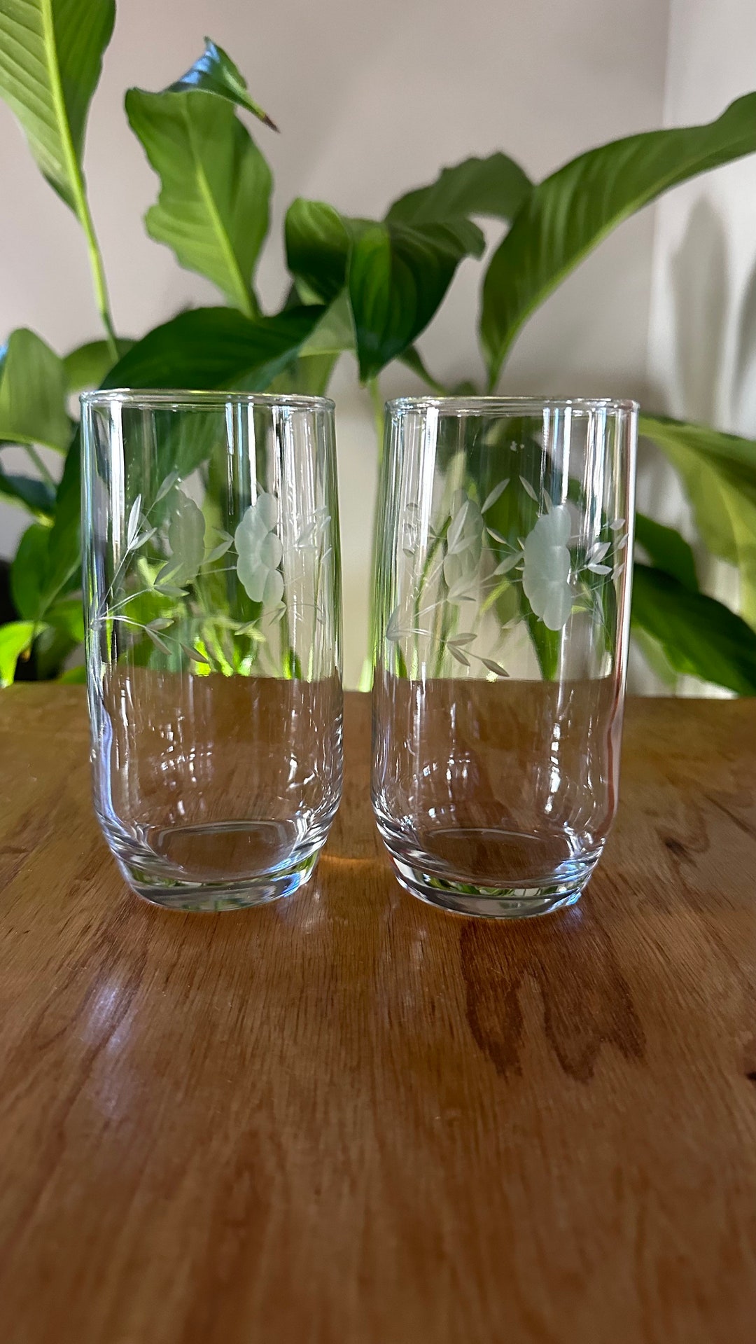 Vintage Princess House Drinking Glasses, Set of 2 Etsy