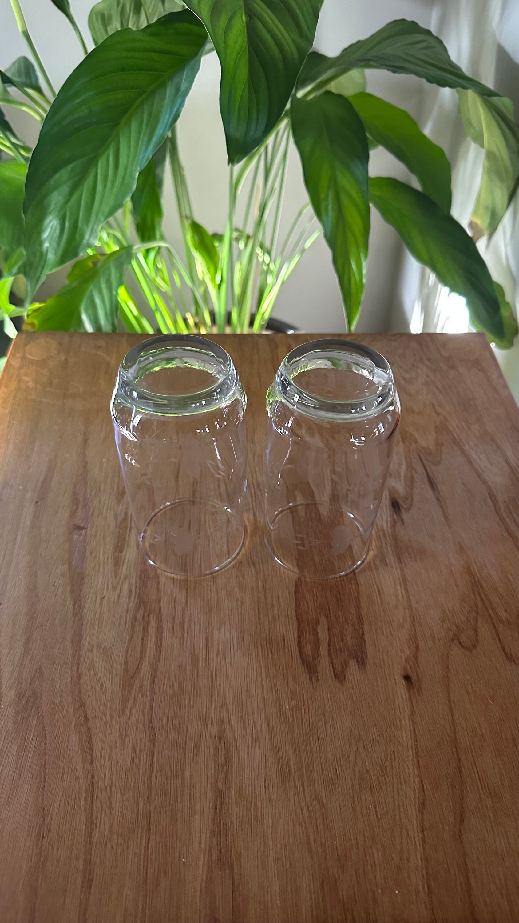 Vintage Princess House Drinking Glasses, Set of 2 Etsy