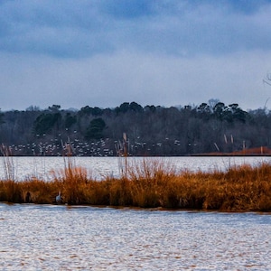 Lake Crabtree Morrisville North Carolina | North Carolina Lake Wall Art
