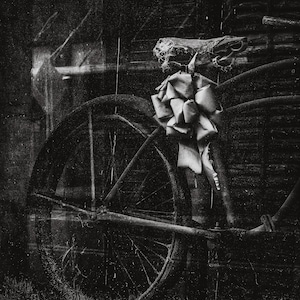 洋書 DAVID HAMILTON IMAGES Vintage Framed David Hamilton Print/ Dreamy 1970's