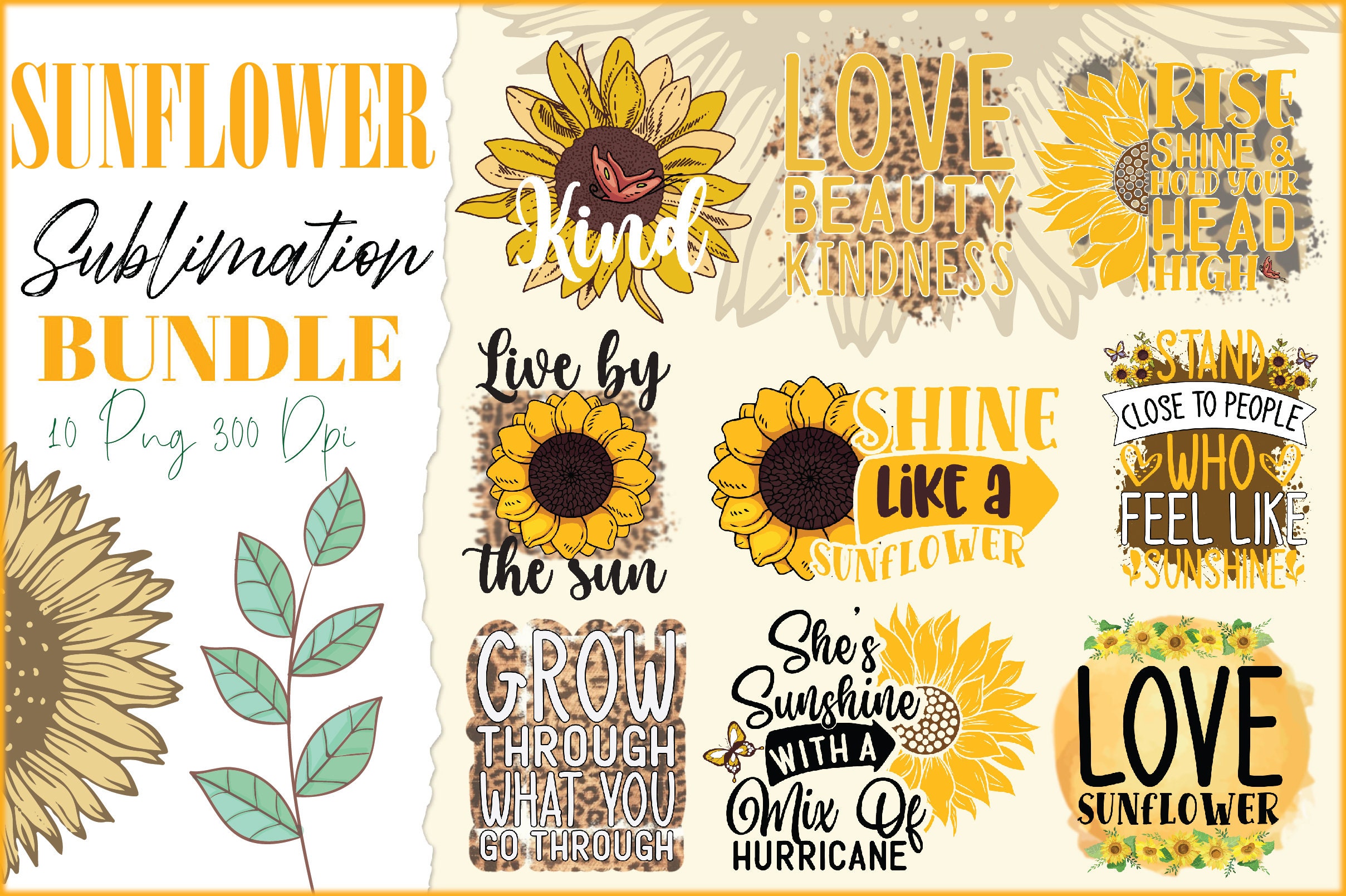 Sunflower PNG Bundle, Sunflower Quotes Png, Sunflower Design Png ...