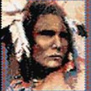 May include: A close-up portrait of a Native American man wearing a traditional headdress with feathers. The man has dark hair and brown eyes, and he is looking directly at the viewer.