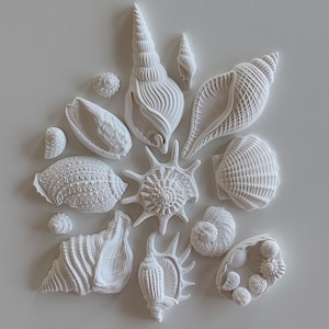 Op de afbeelding: Een verzameling matwitte decoratieve schelpreplica's met diverse texturen, ribbels en spiraalpatronen. Het assortiment bevat een centrale stekelige schelp omringd door verschillende vormen, waaronder conch-, sint-jakobsschelp- en nautilusstijlen.