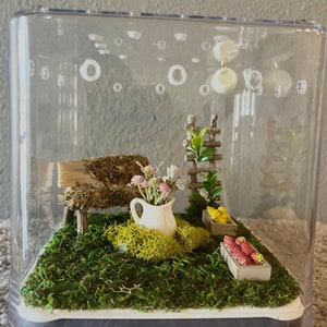 Cozy Garden Jumping Spider Enclosure