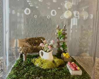 Acogedor recinto de jardín con arañas saltadoras