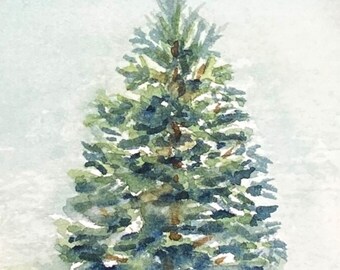 Forest Tree Note Cards