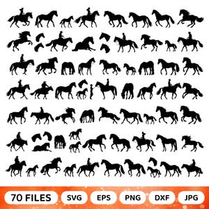70 Horse Silhouette Vector Bundle: Cricut, PNG, SVG, DXF