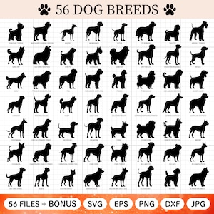 56 hondenras silhouet bundel, hond silhouetten Svg, hondenras Svg, hond silhouet png, hond gesneden bestand, snijden bestanden, Svg hond cricut