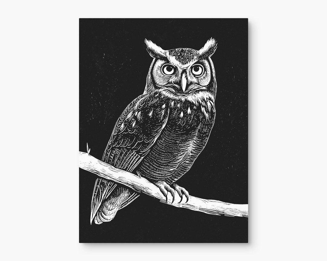 Owl on A Branch Linocut Art Prints Black White Owl Bird Posters ...