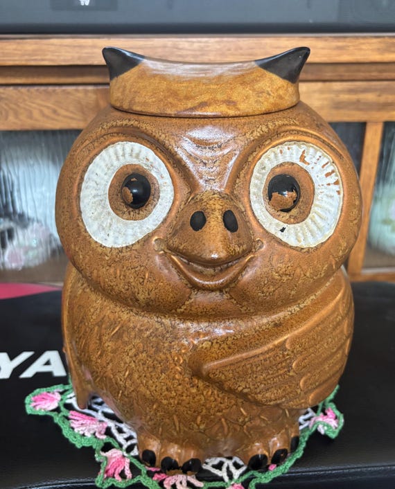Beautiful Vintage Mid Century Mccoy Pottery Old Wise Owl Cookie