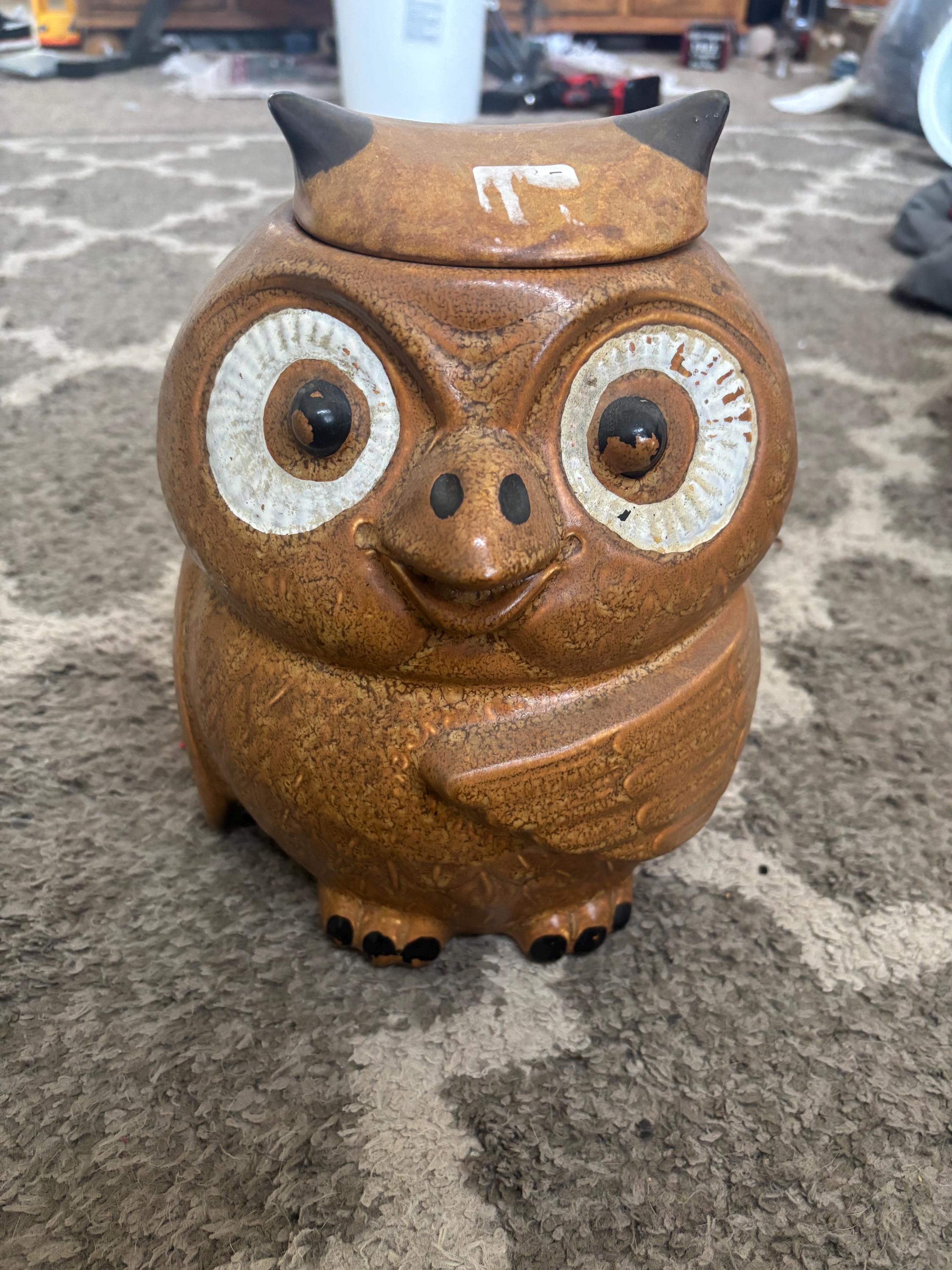 Beautiful Vintage Mid Century Mccoy Pottery Old Wise Owl Cookie