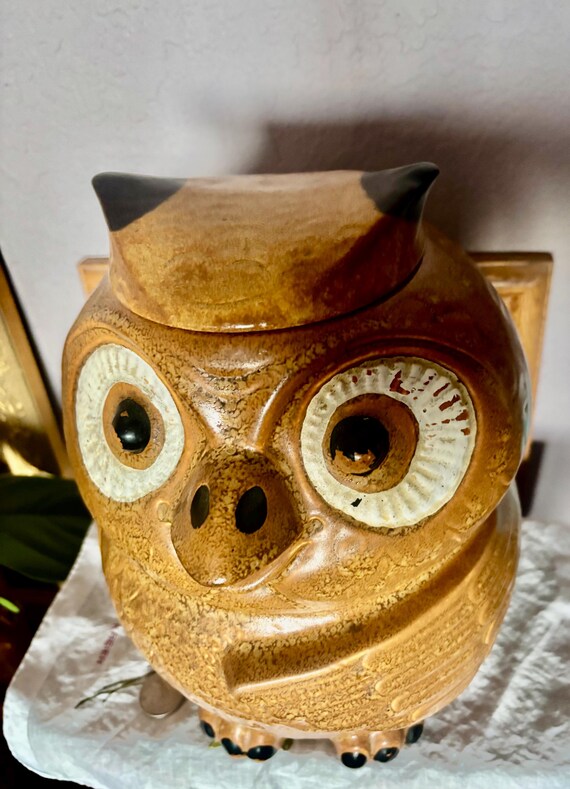 Beautiful Vintage Mid Century Mccoy Pottery Old Wise Owl Cookie