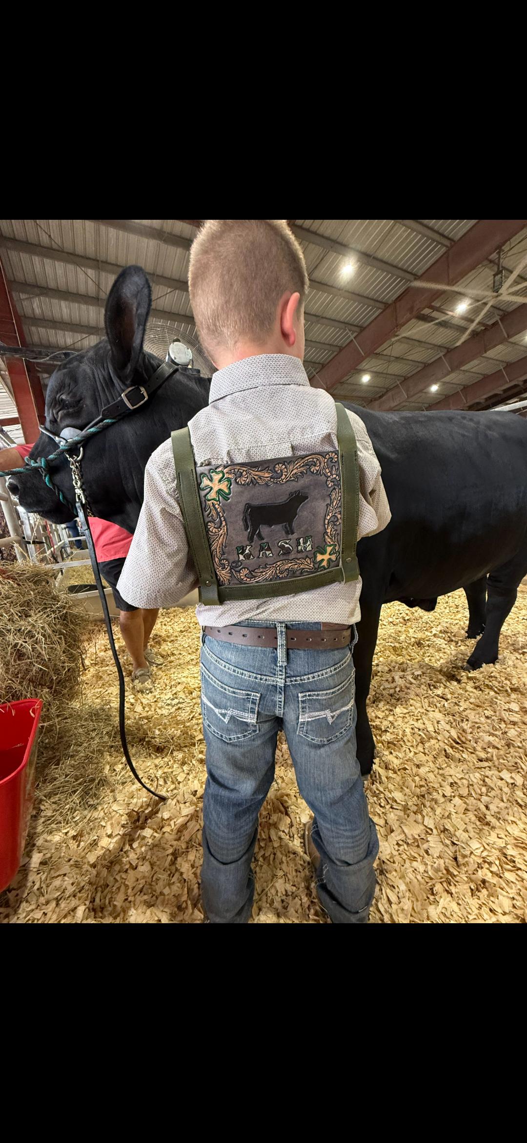 Leather show harness for 4H, FFA or livestock - Thumbnail 7