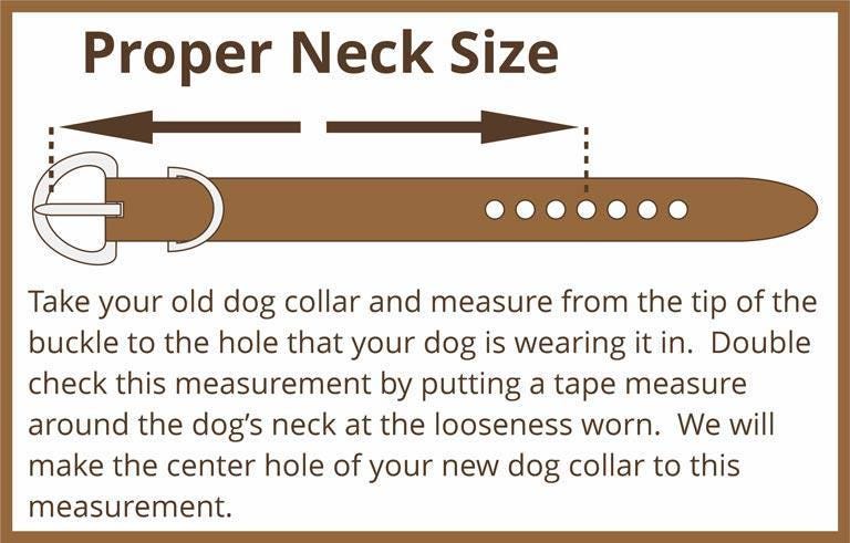 Customize your Leather Dog Collar - Thumbnail 6