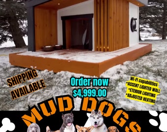 Custom design Five star Dog House