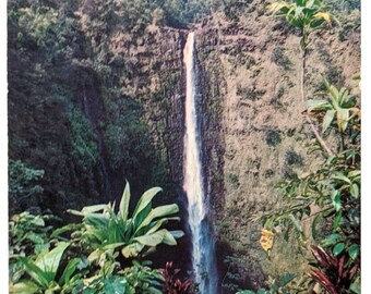 Cartolina vintage Hawaii HI Hilo Akaka Falls Carta a colori Hawaii Mike Roberts A1