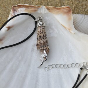 Puede incluir: Un collar con un colgante de concha marina con un cordón negro y una cadena de plata. El colgante es una concha marina marrón y blanca con un alambre de plata envuelto alrededor. El collar se muestra en una concha marina blanca.