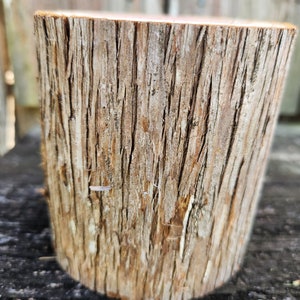 1 Cedar Log