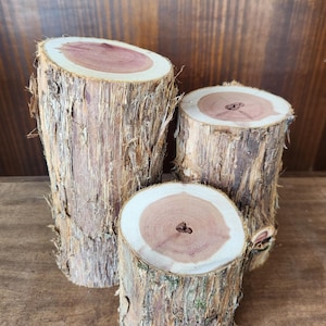 Cedar Logs - Set of 3