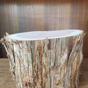 1 Large Cedar Log