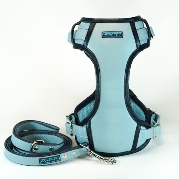 Adjustable Leather Dog Harness and leash set (BLUE) for Small to Large Dogs -Easy-Clean Design - No-Pull Comfort and Control
