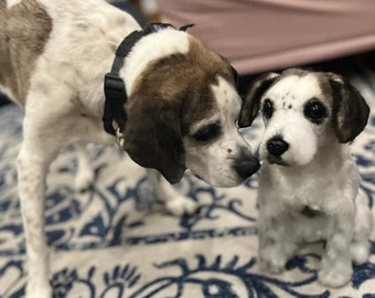 Puede incluir: Un perro blanco y marrón con manchas negras en la cara mira a un perro de peluche blanco y marrón con manchas negras en la cara. Los perros están sobre una alfombra con estampado azul y blanco.
