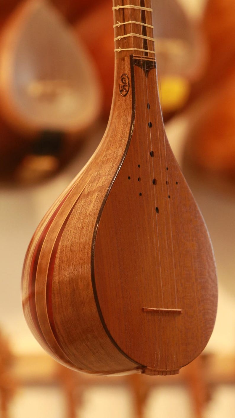 Handmade Walnut Setar: Traditional Musical Instrument,poyan Setar ...