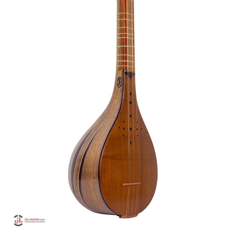 Handmade Walnut Setar: Traditional Musical Instrument,poyan Setar ...