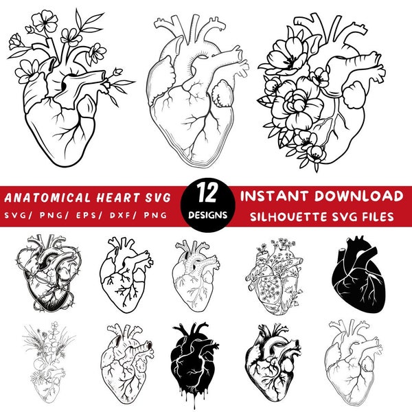 Anatomical Heart Svg Bundle, Flower Heart Svg, Human Heart Svg, Anatomy Svg, Heart SVG, Cardiology Svg, Realistic Heart Svg,Heart Svg Bundle