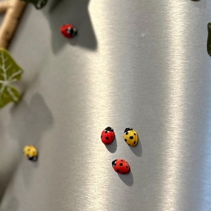 May include: A silver refrigerator with a decorative ivy vine and red and yellow ladybugs attached to it.