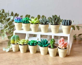 Spinning Succulent Fidget : Sensory Cactus Desk  - ForgeCore Fidgets