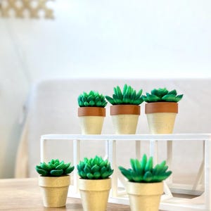 Spinning Succulent Fidget Toy: Sensory Desk Toy - ForgeCore Fidgets image 3