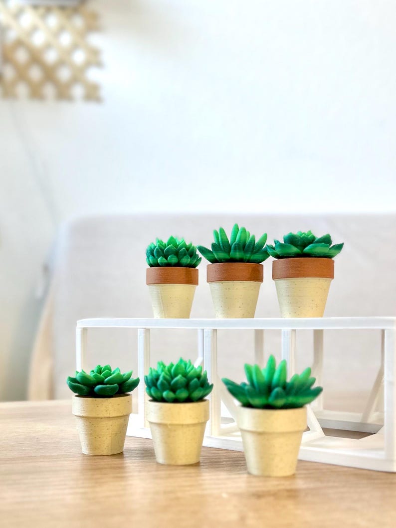 Spinning Succulent Fidget Toy: Sensory Desk Toy - ForgeCore Fidgets image 3